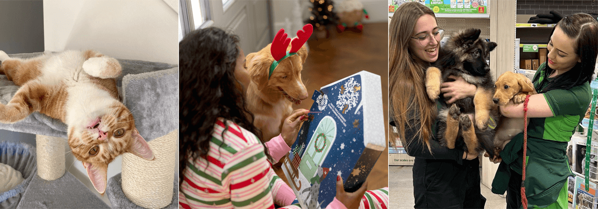 Pets at Home Discounts Banner
