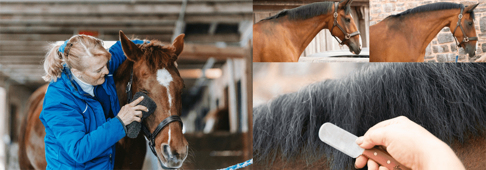 Smart Grooming Discounts Banner